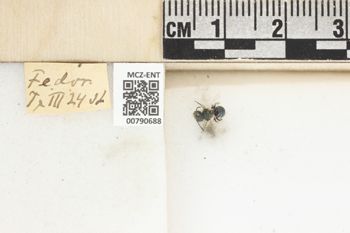 Media type: image;   Entomology 790688 Aspect: Labels